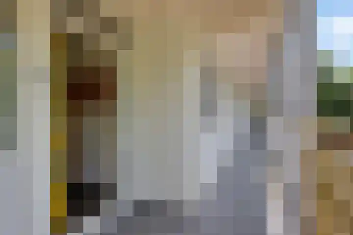 Smetanalaan 206 Assen thumbnail 13