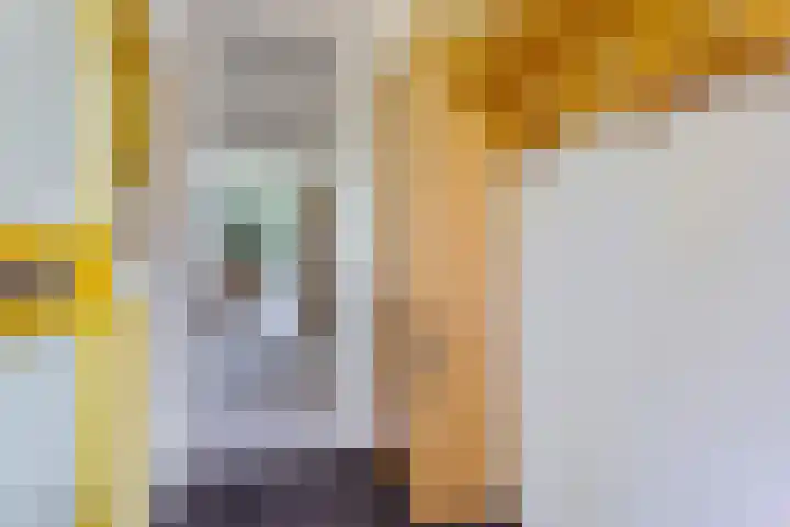 Smetanalaan 206 Assen thumbnail 14