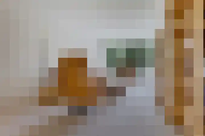 Smetanalaan 206 Assen thumbnail 18