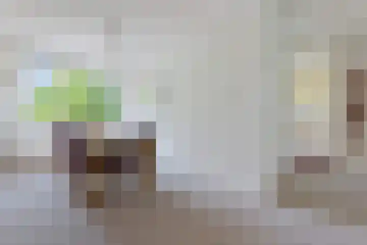 Smetanalaan 206 Assen thumbnail 22