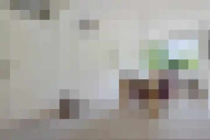 Smetanalaan 206 Assen thumbnail 23