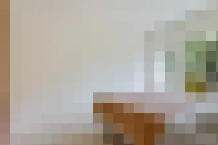 Smetanalaan 206 Assen thumbnail 27