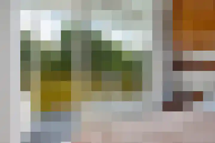 Smetanalaan 206 Assen thumbnail 28