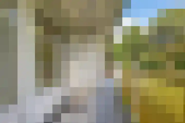 Smetanalaan 206 Assen thumbnail 29