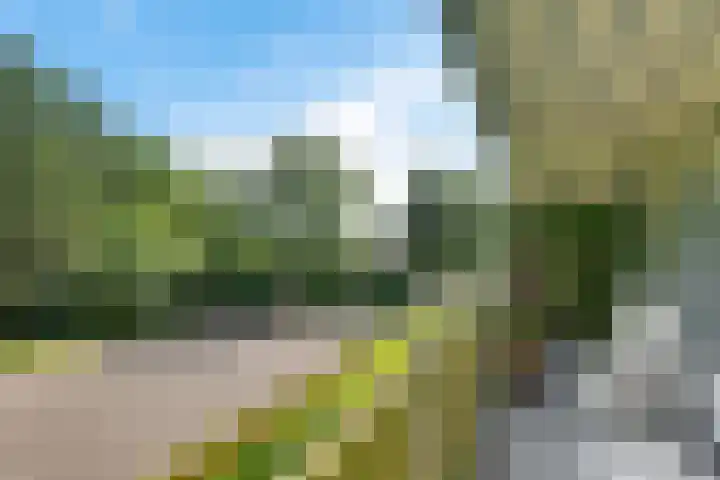 Smetanalaan 206 Assen thumbnail 30