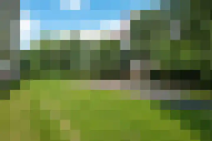 Smetanalaan 206 Assen thumbnail 36