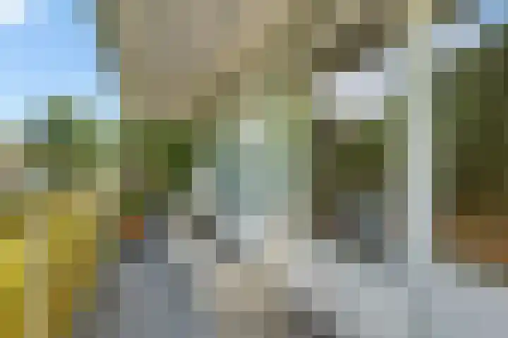 Smetanalaan 206 Assen thumbnail 4