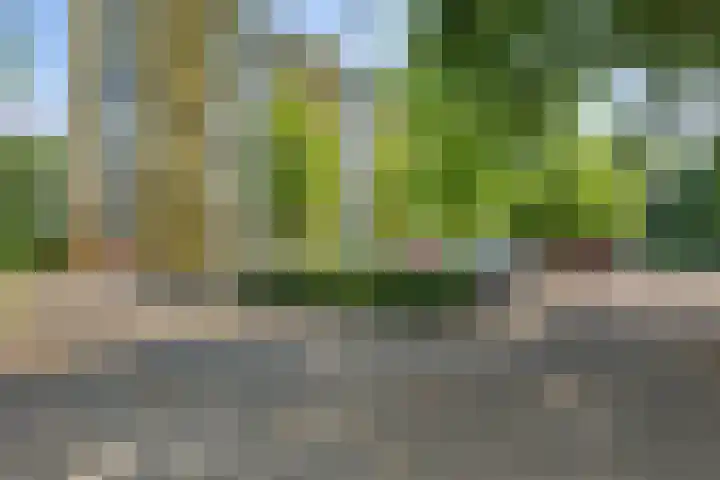 Smetanalaan 206 Assen thumbnail 41