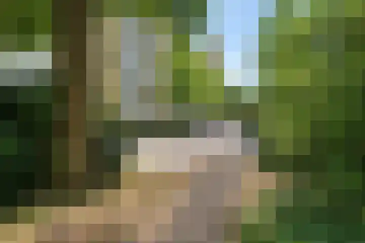 Smetanalaan 206 Assen thumbnail 42