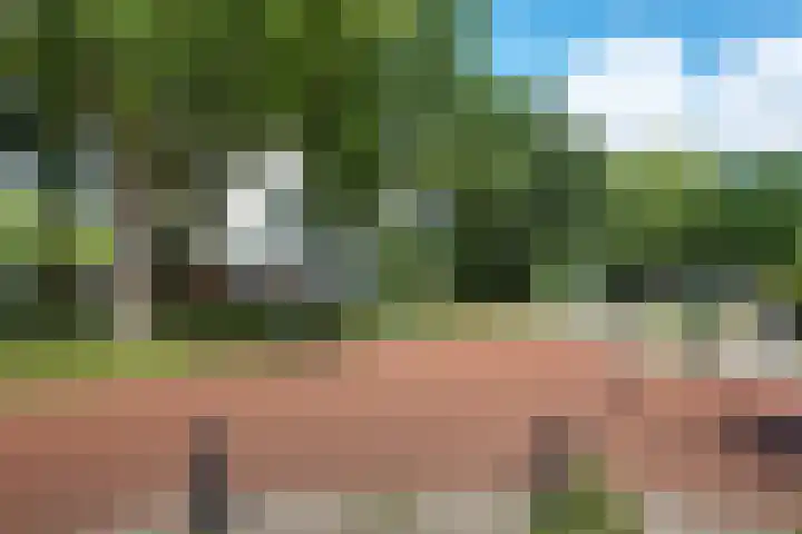 Smetanalaan 206 Assen thumbnail 43