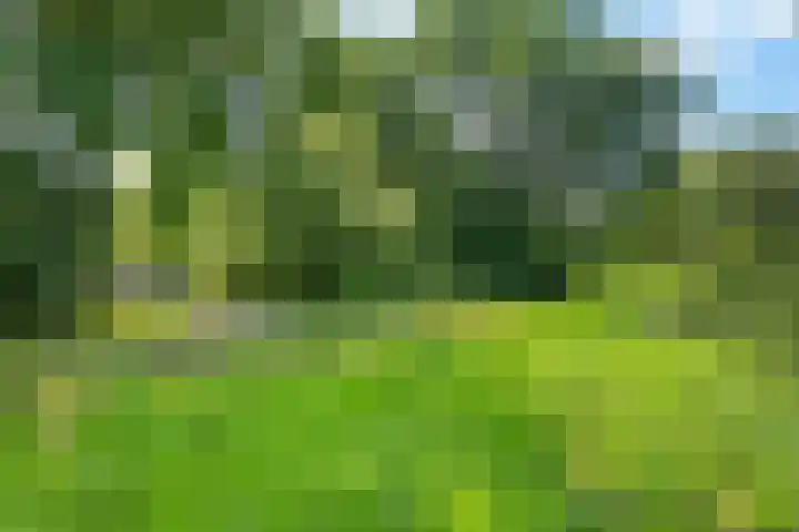 Smetanalaan 206 Assen thumbnail 44