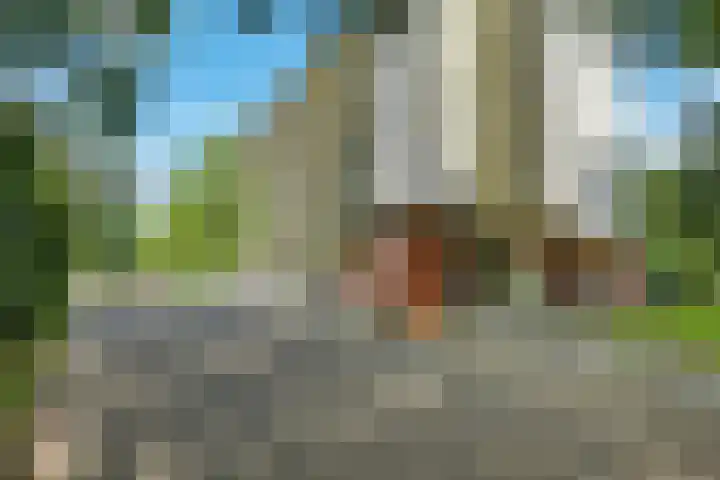 Smetanalaan 206 Assen thumbnail 5