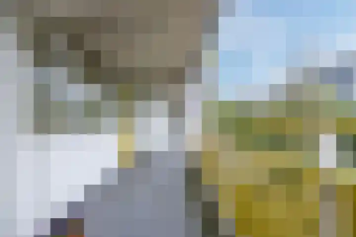 Smetanalaan 224 Assen thumbnail 10