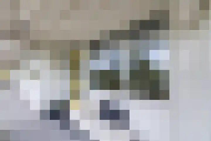 Smetanalaan 224 Assen thumbnail 11
