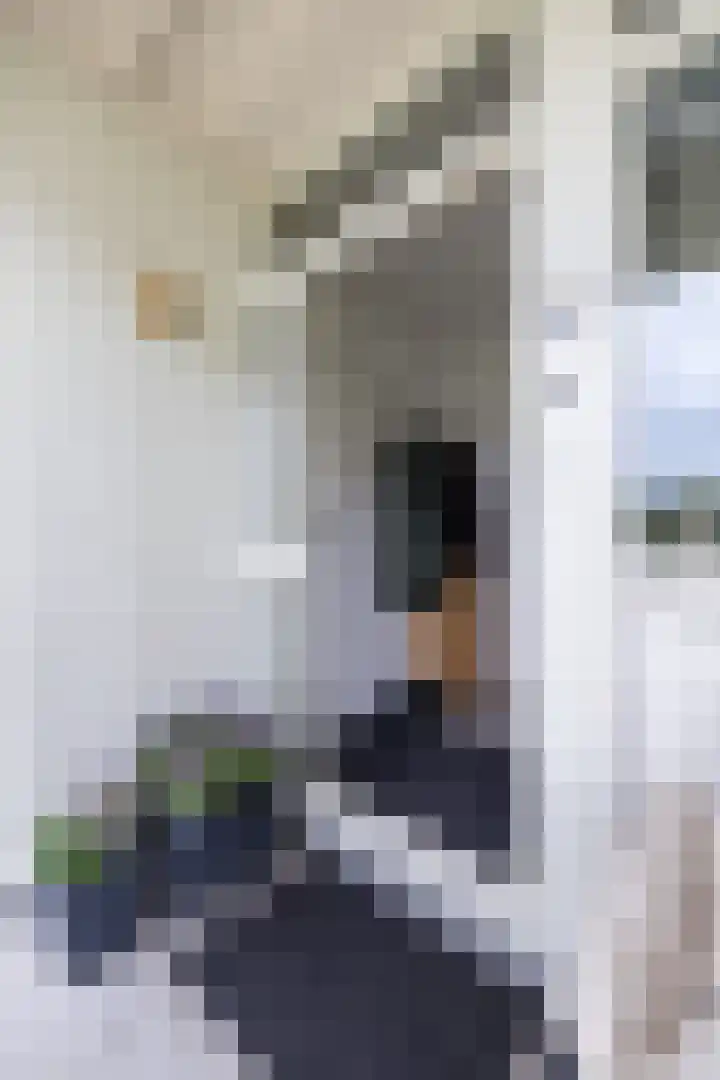Smetanalaan 224 Assen thumbnail 14