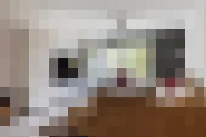 Smetanalaan 224 Assen thumbnail 16