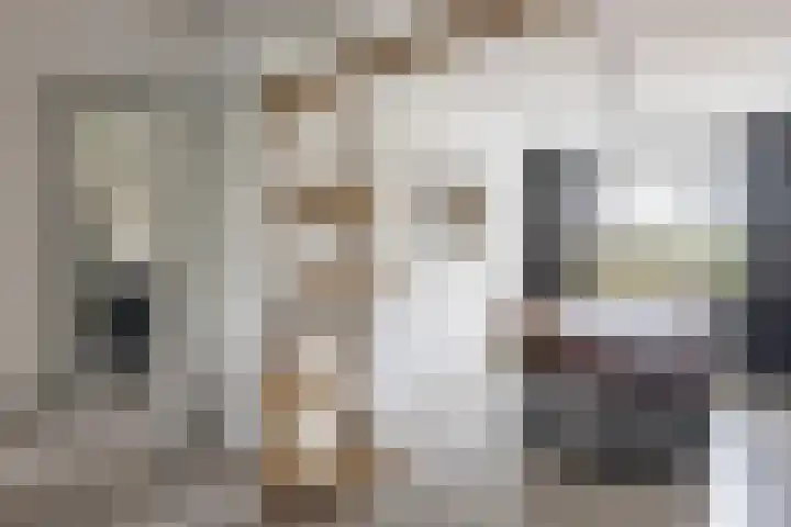 Smetanalaan 224 Assen thumbnail 21