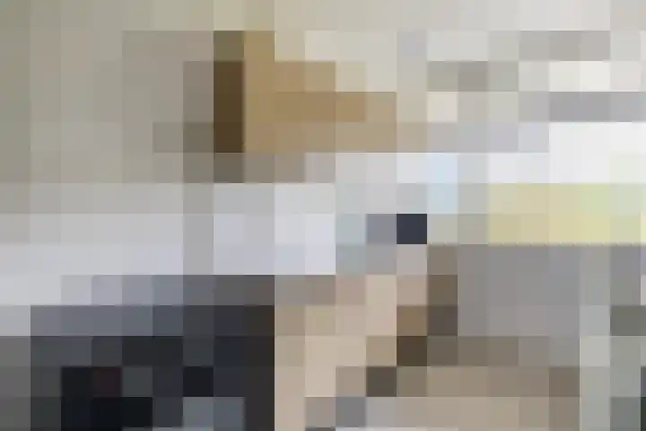 Smetanalaan 224 Assen thumbnail 23