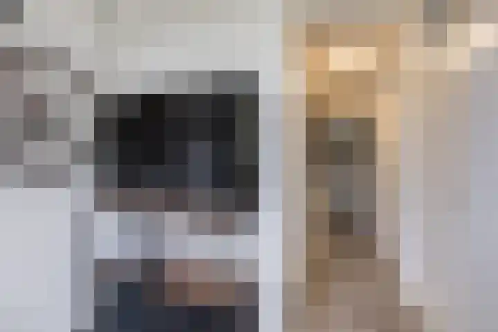 Smetanalaan 224 Assen thumbnail 26