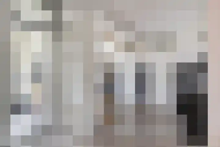 Smetanalaan 224 Assen thumbnail 27
