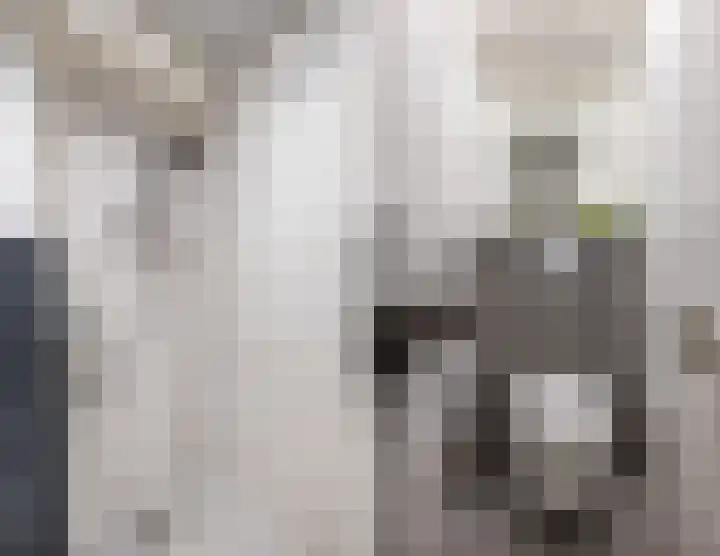 Smetanalaan 224 Assen thumbnail 32