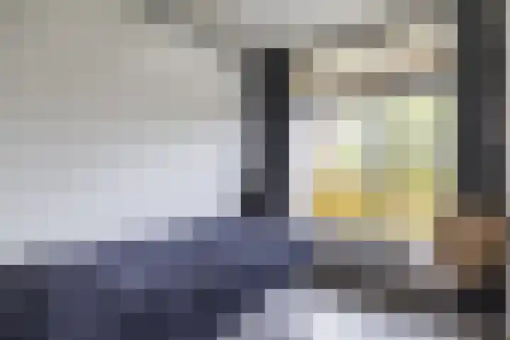 Smetanalaan 224 Assen thumbnail 36