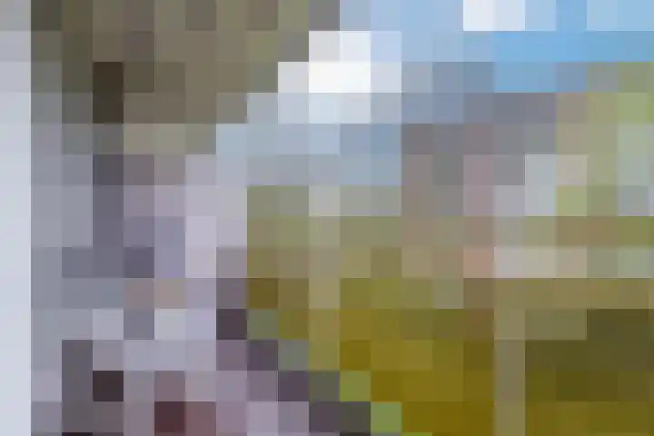 Smetanalaan 224 Assen thumbnail 40