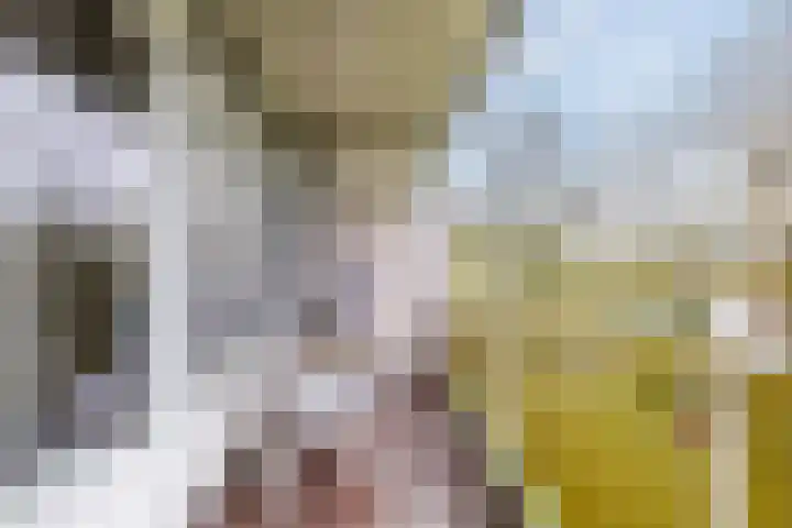Smetanalaan 224 Assen thumbnail 41