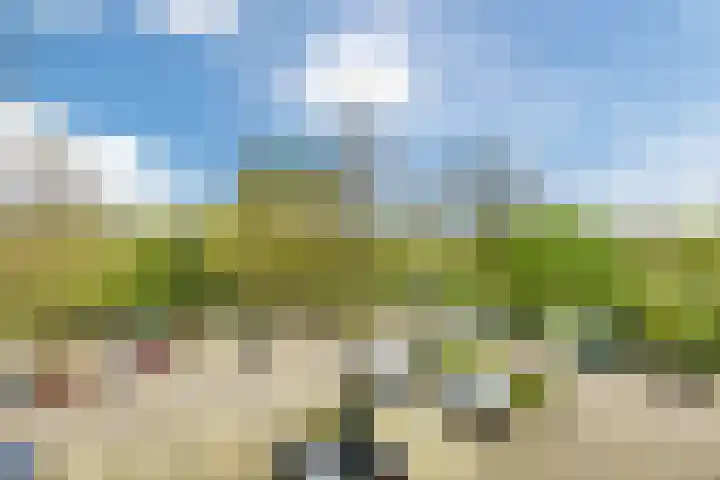 Smetanalaan 224 Assen thumbnail 43