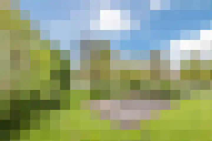 Smetanalaan 224 Assen thumbnail 44