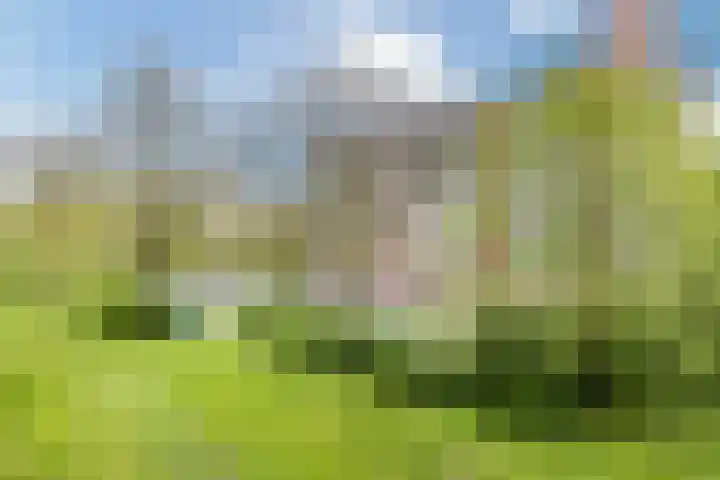Smetanalaan 224 Assen thumbnail 45