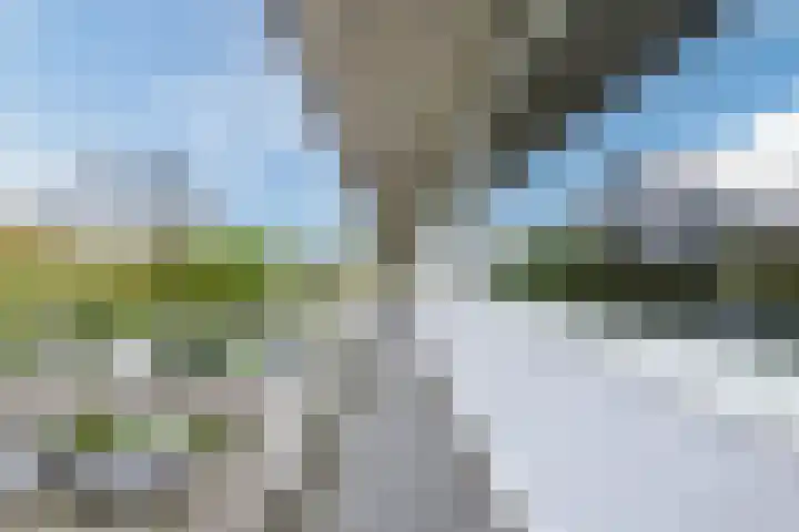 Smetanalaan 224 Assen thumbnail 9