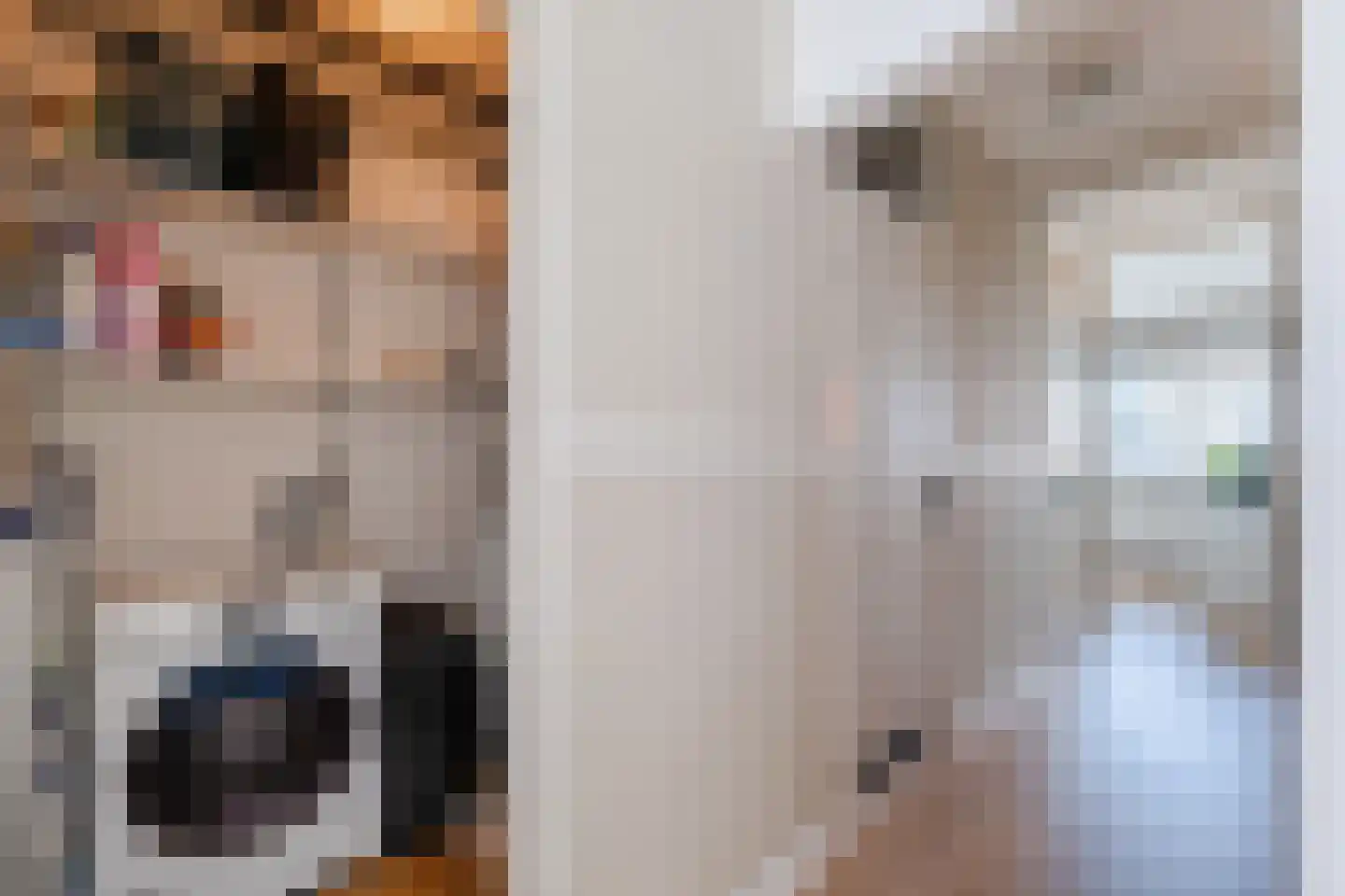 Smetanalaan 262 Assen thumbnail 23