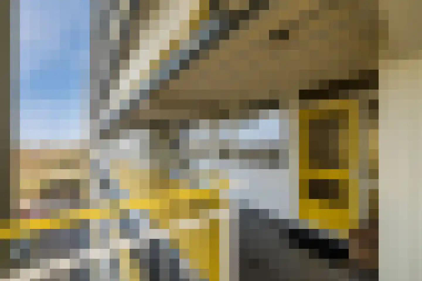 Smetanalaan 262 Assen thumbnail 33