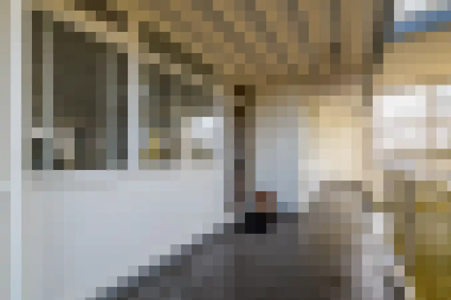 Smetanalaan 262 Assen thumbnail 35
