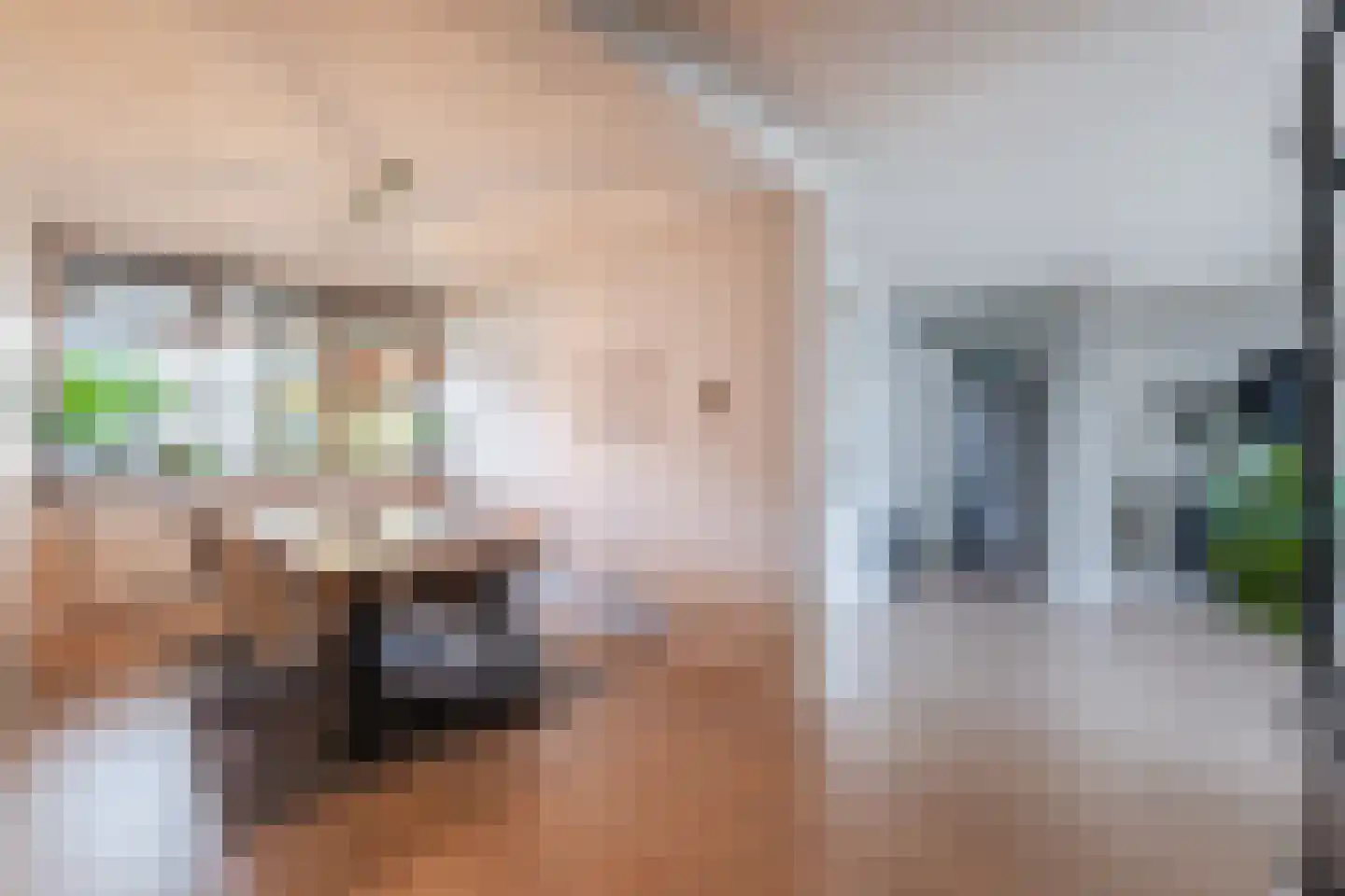 Smetanalaan 262 Assen thumbnail 5