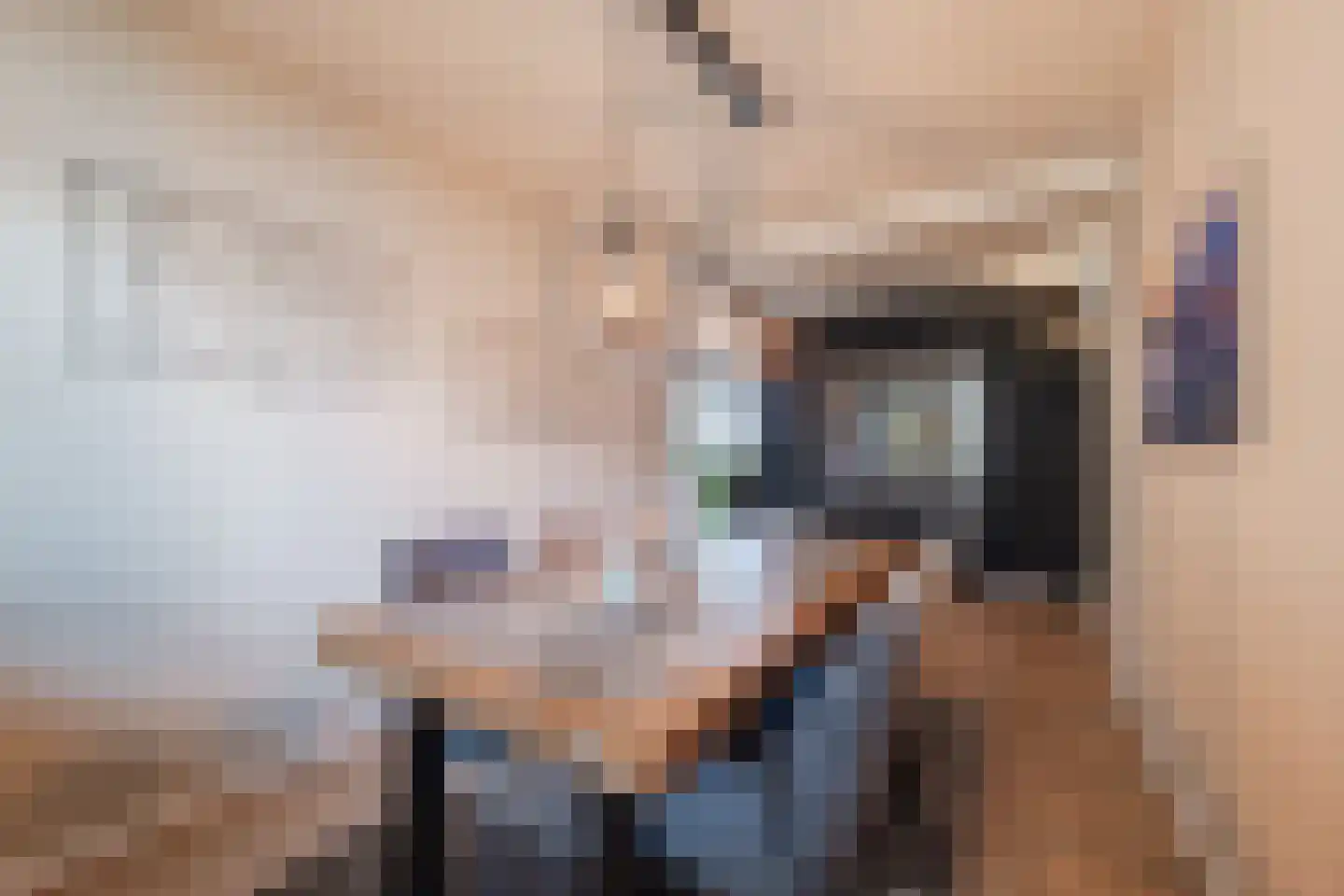 Smetanalaan 262 Assen thumbnail 7