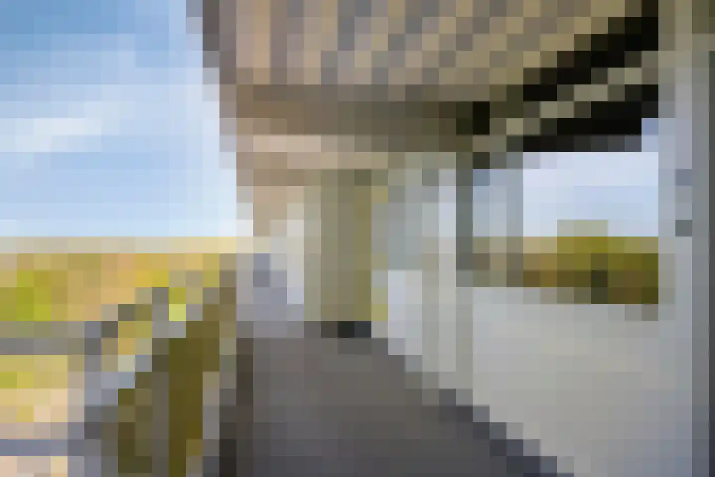 Smetanalaan 278 Assen thumbnail 11
