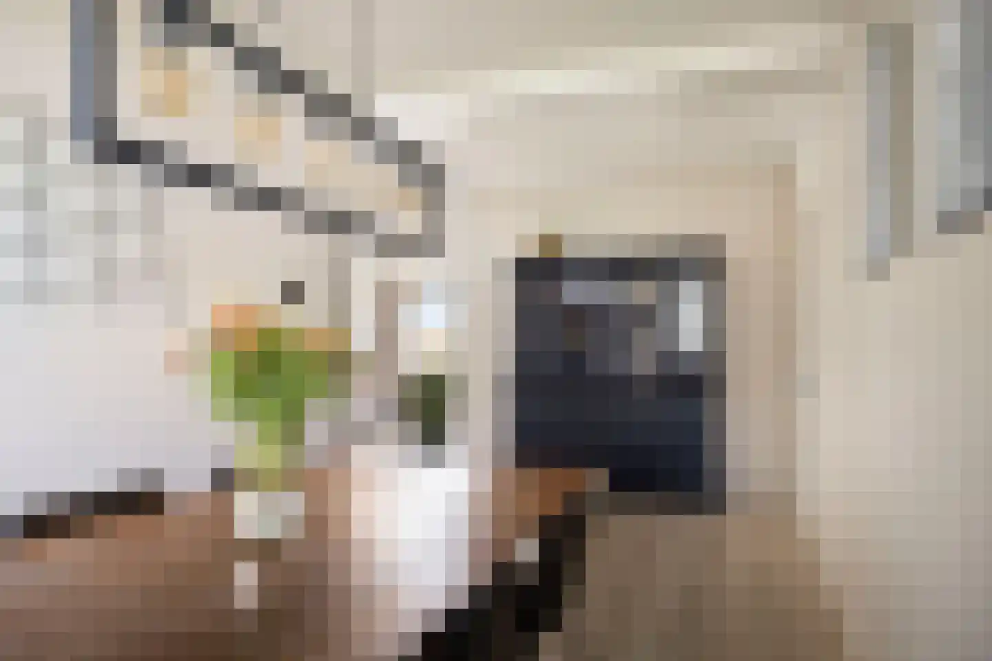 Smetanalaan 278 Assen thumbnail 22