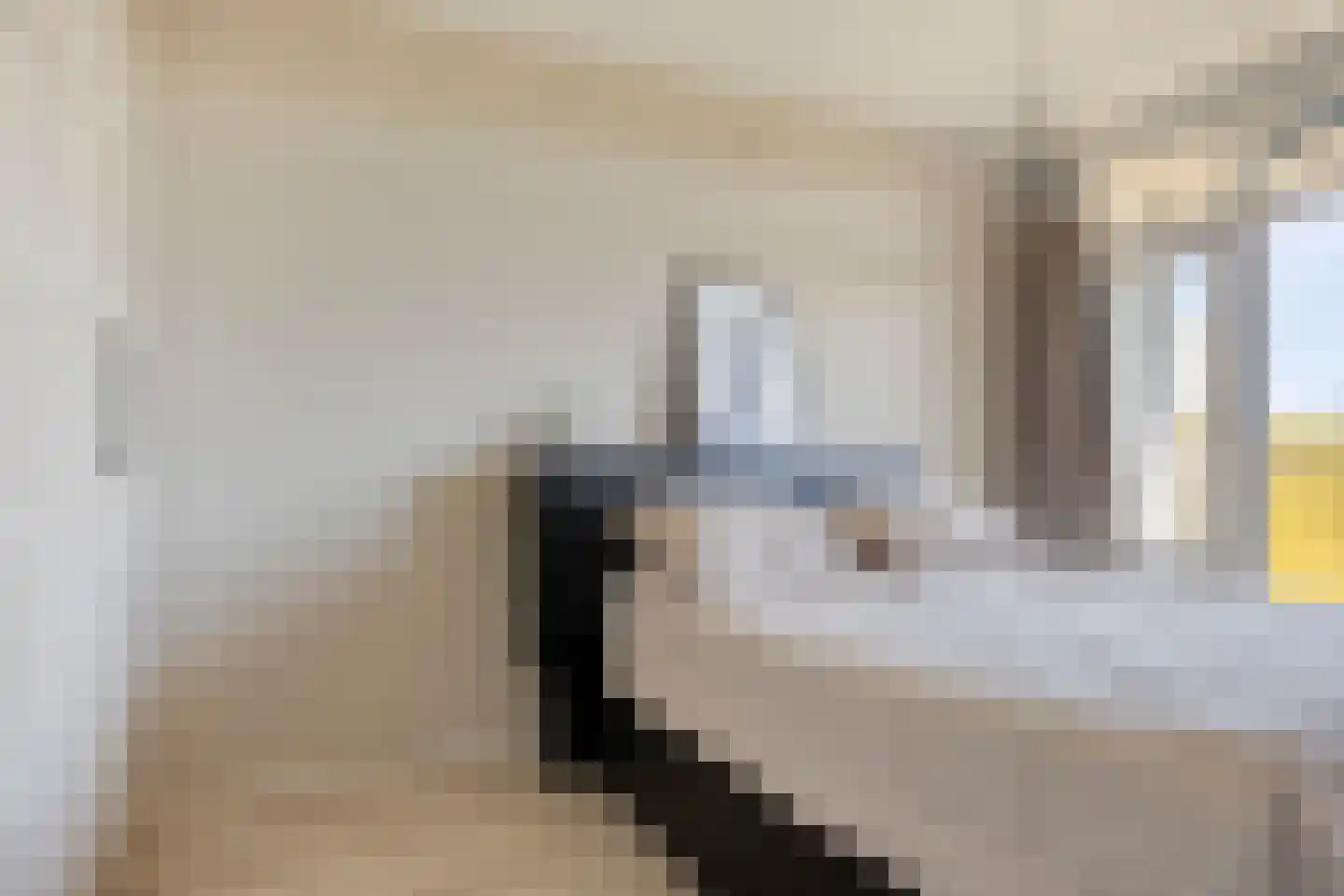 Smetanalaan 278 Assen thumbnail 28