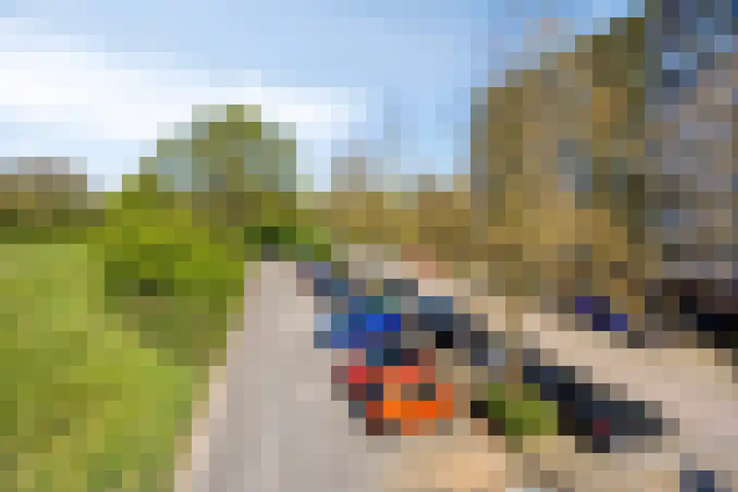 Smetanalaan 278 Assen thumbnail 7