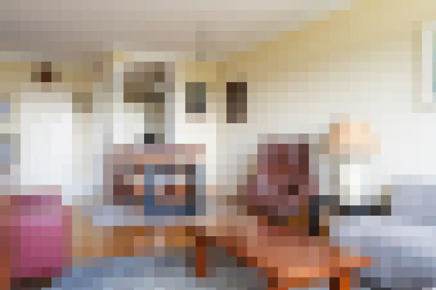 Smetanalaan 298 Assen thumbnail 14