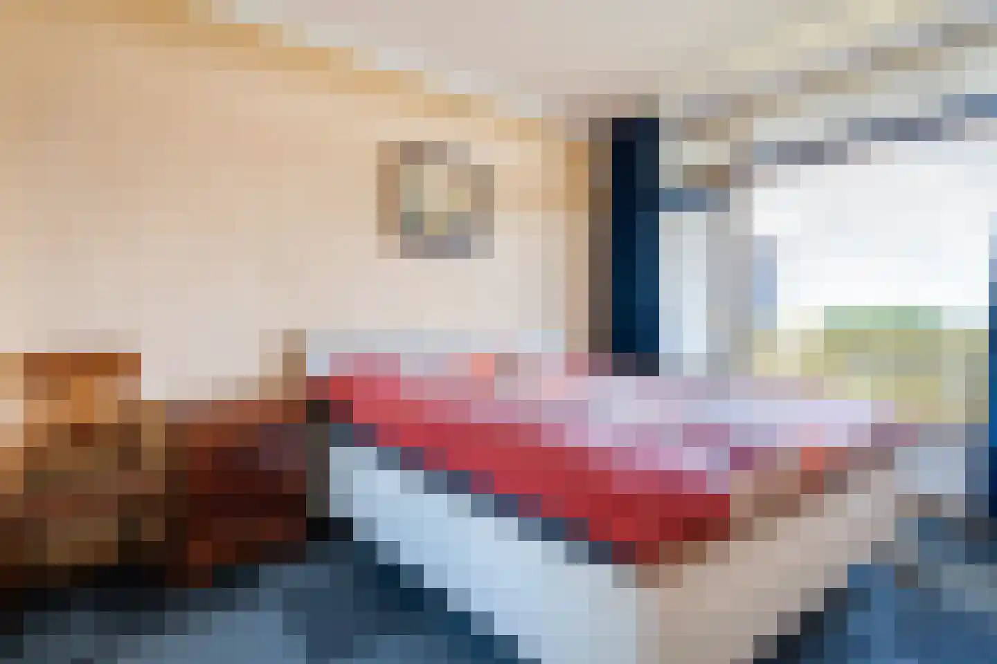 Smetanalaan 298 Assen thumbnail 27