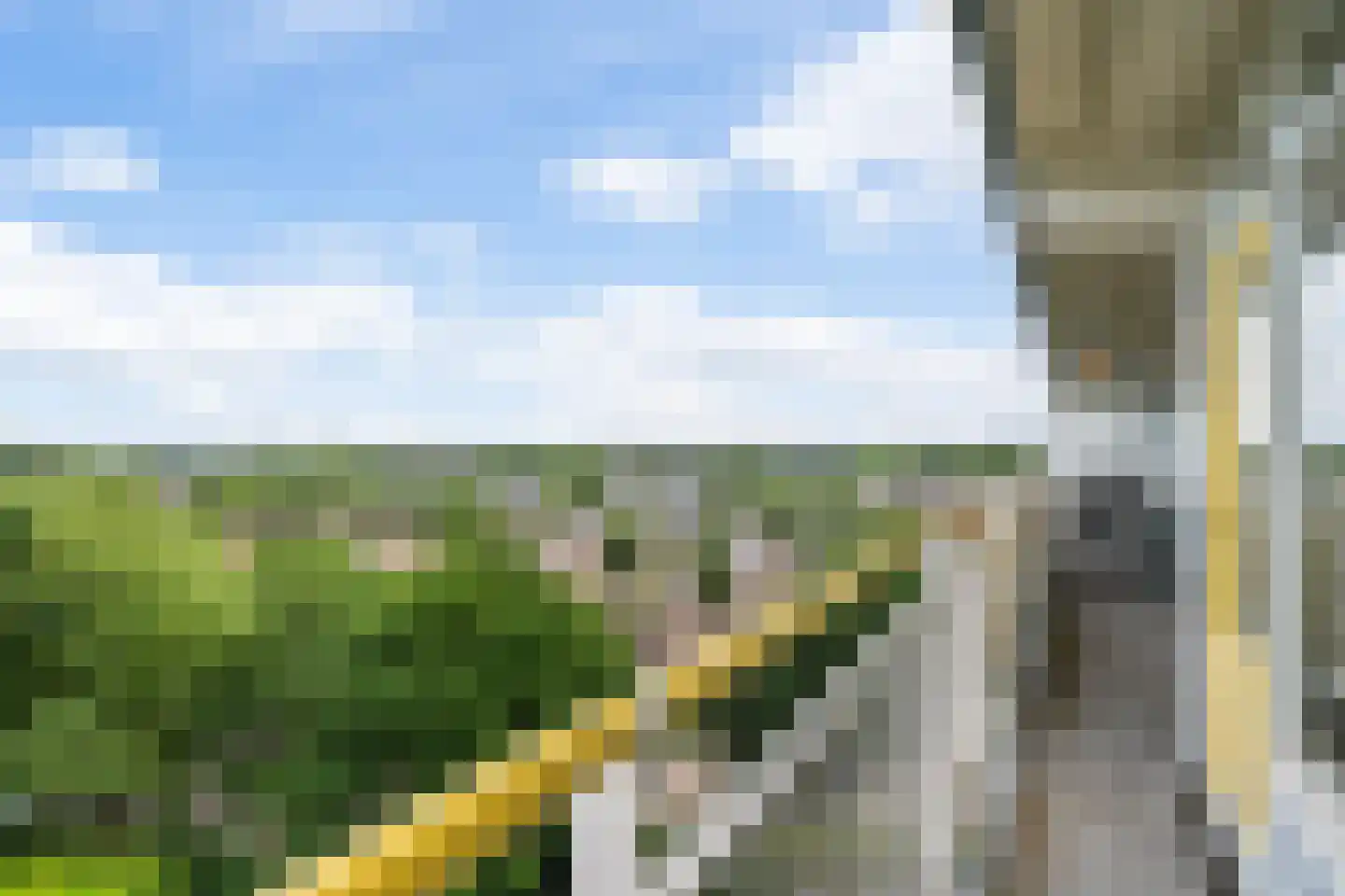 Smetanalaan 298 Assen thumbnail 32
