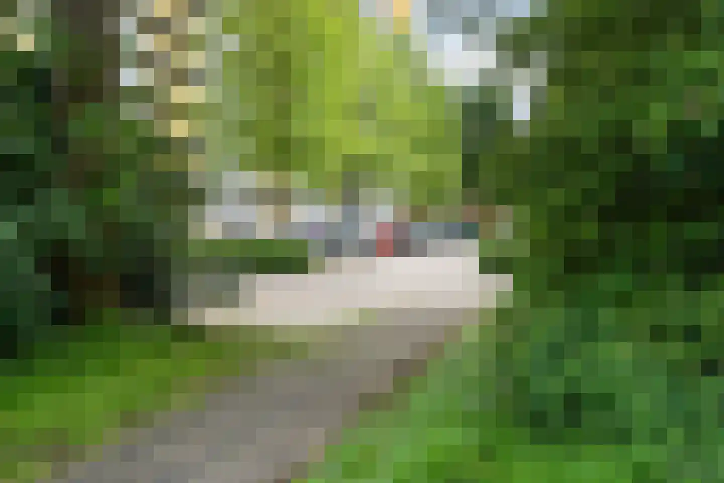 Smetanalaan 298 Assen thumbnail 5
