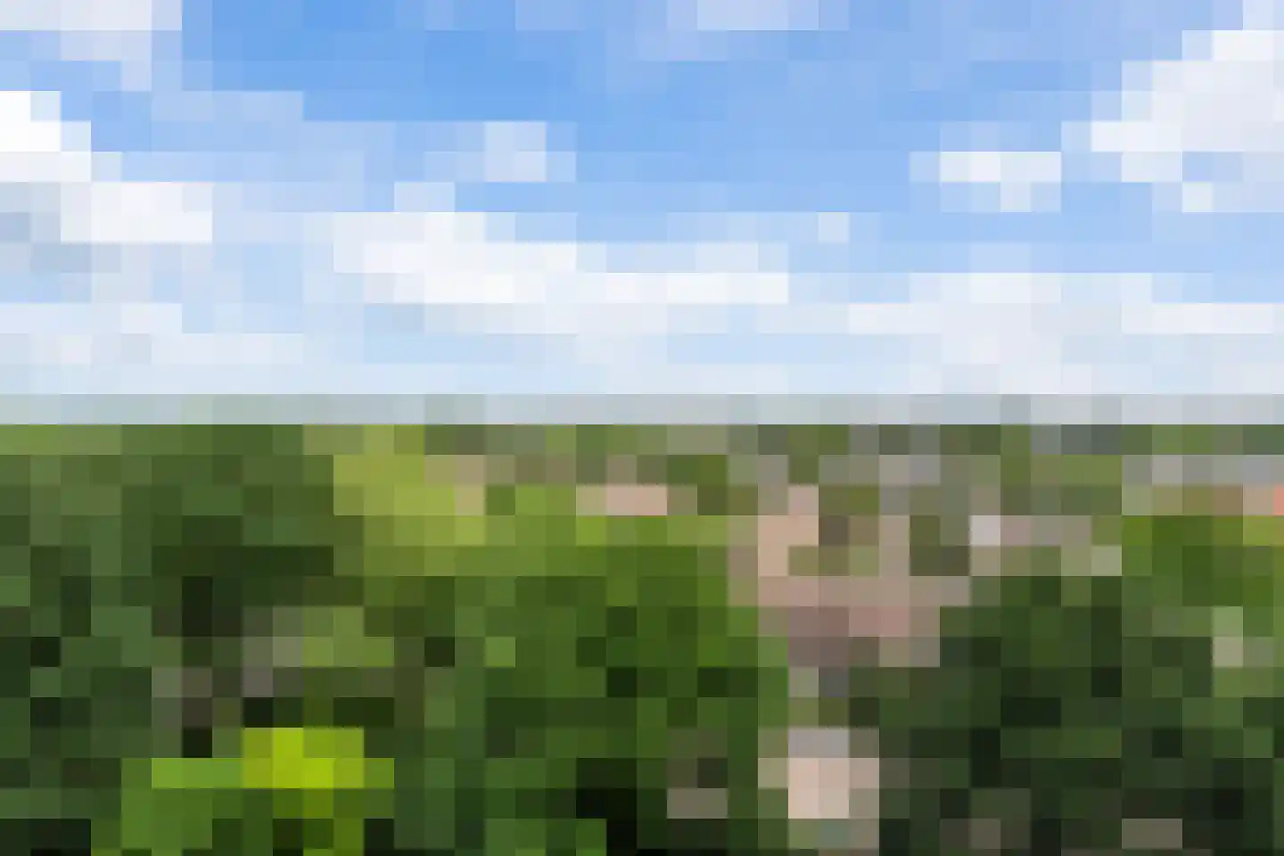 Smetanalaan 298 Assen thumbnail 9