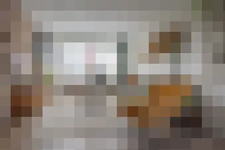 Smetanalaan 308 Assen thumbnail 10