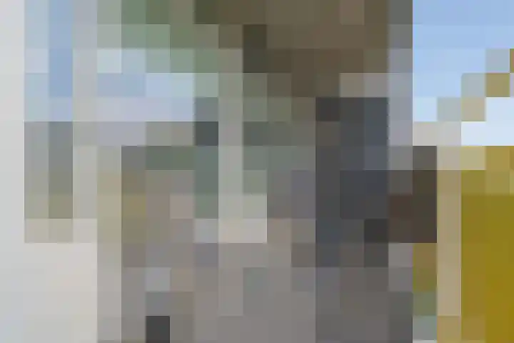 Smetanalaan 308 Assen thumbnail 11