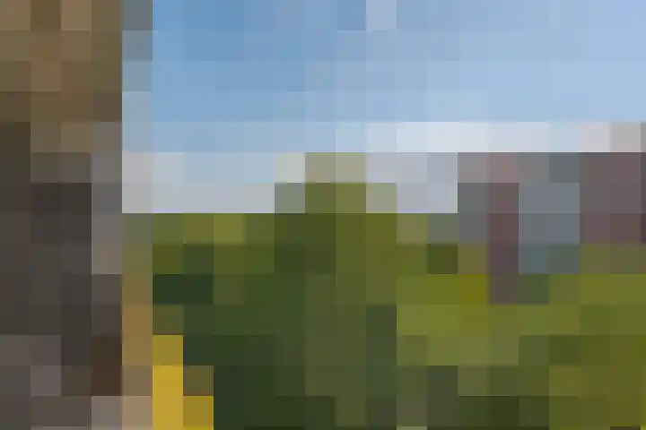 Smetanalaan 308 Assen thumbnail 12