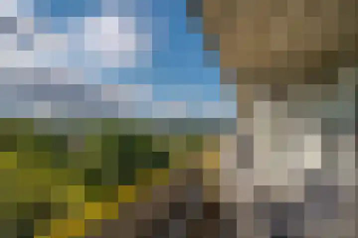 Smetanalaan 308 Assen thumbnail 13